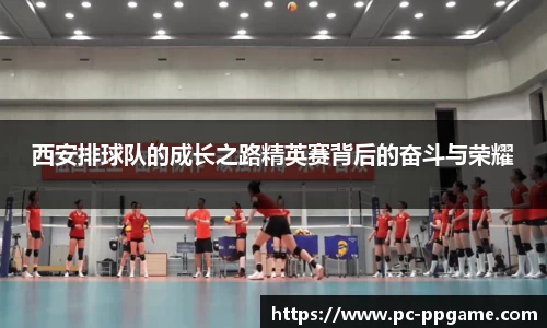 西安排球队的成长之路精英赛背后的奋斗与荣耀